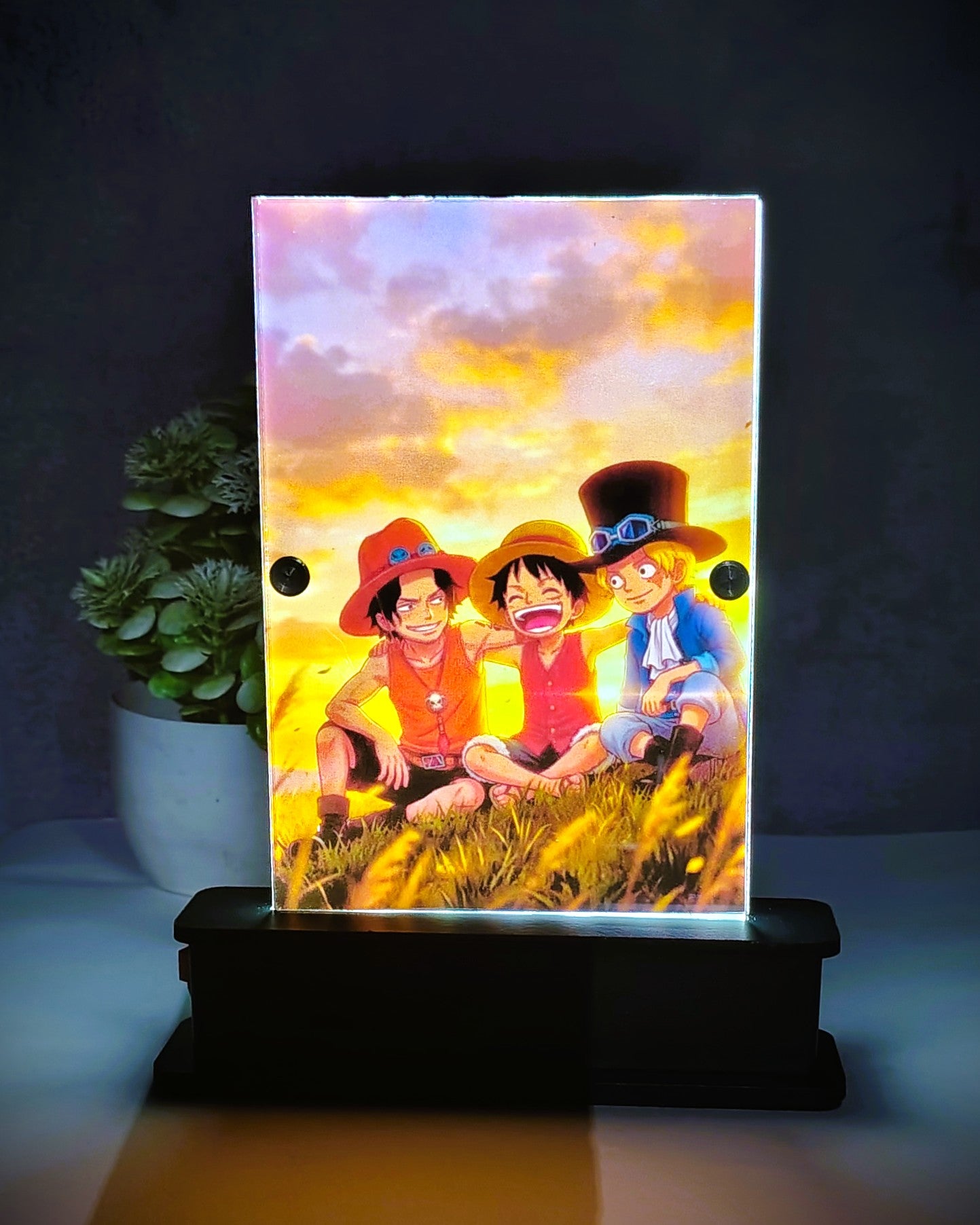 One Piece LED Desk Lamp (Rechargeable)